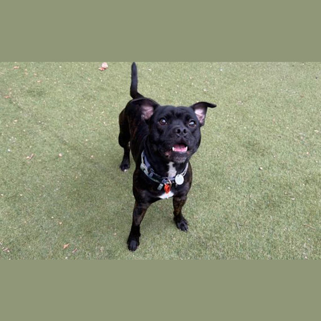 Photo of Turbo