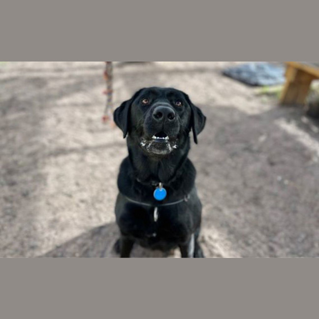 Photo of Luna
