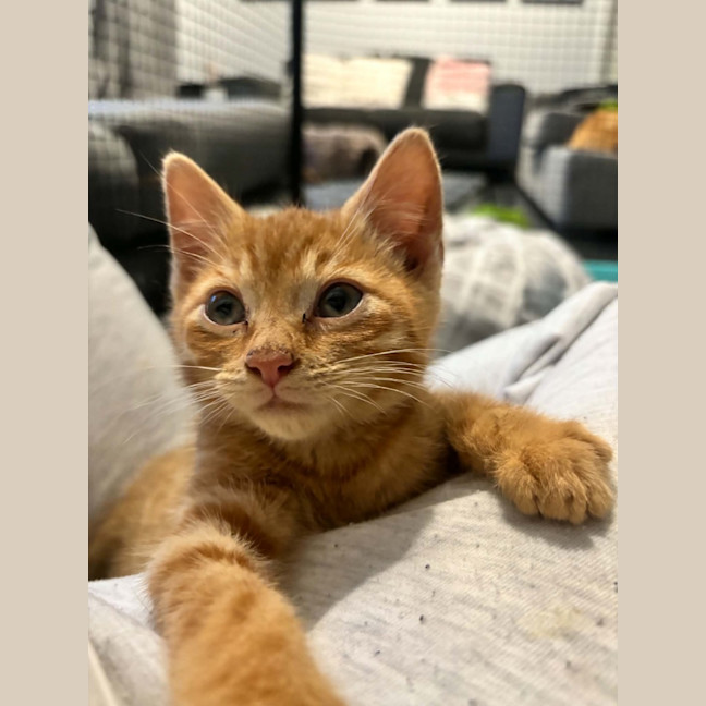 Photo of Jerry   Meet Me 10/10 Info In Bio