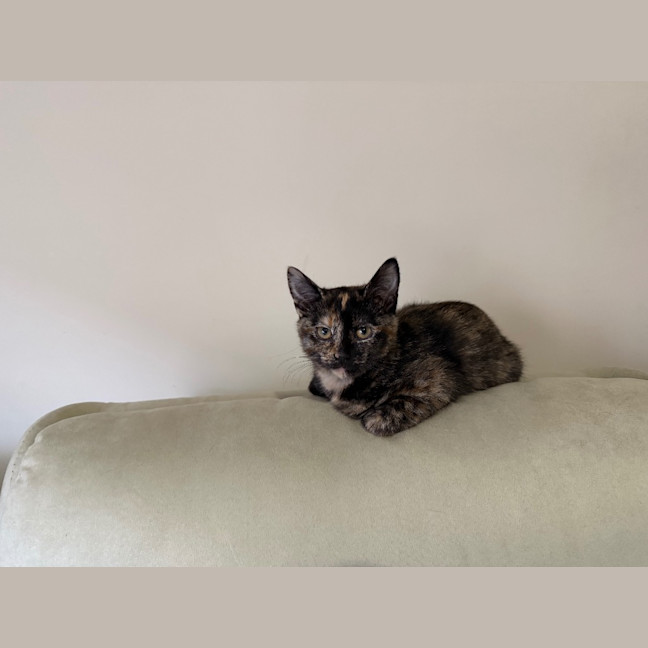 Photo of Mj Moo