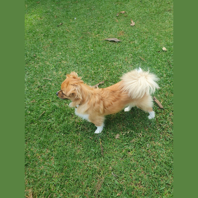 Photo of Lili