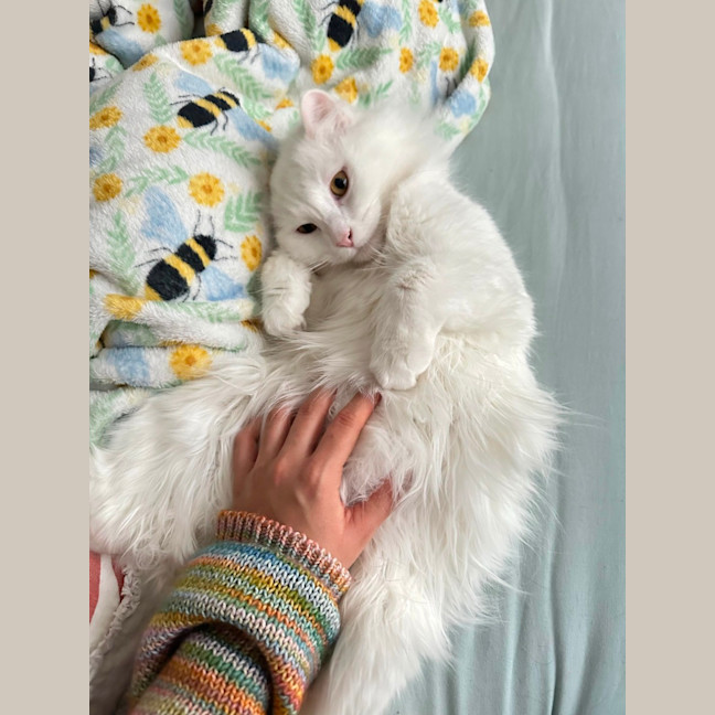 Photo of Will & Grace