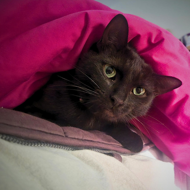 Photo of Emmy