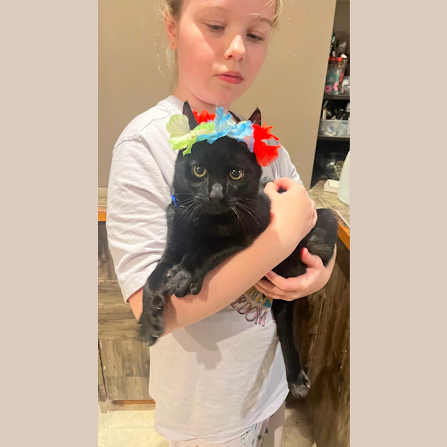 Photo of Prada & Vadar