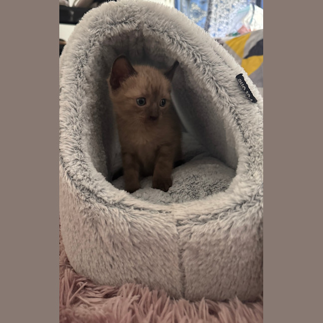 Photo of Mia