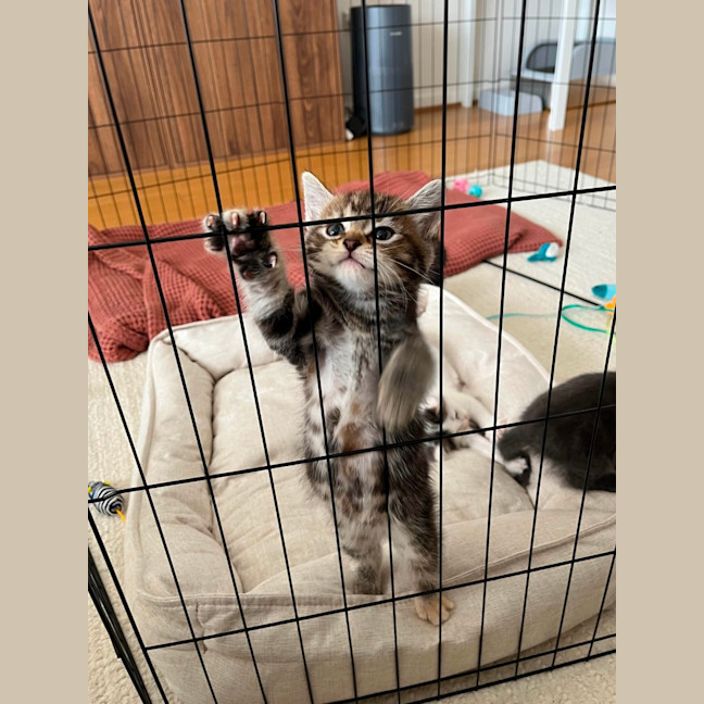 Photo of Mia