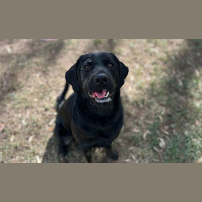 Photo of Ellie