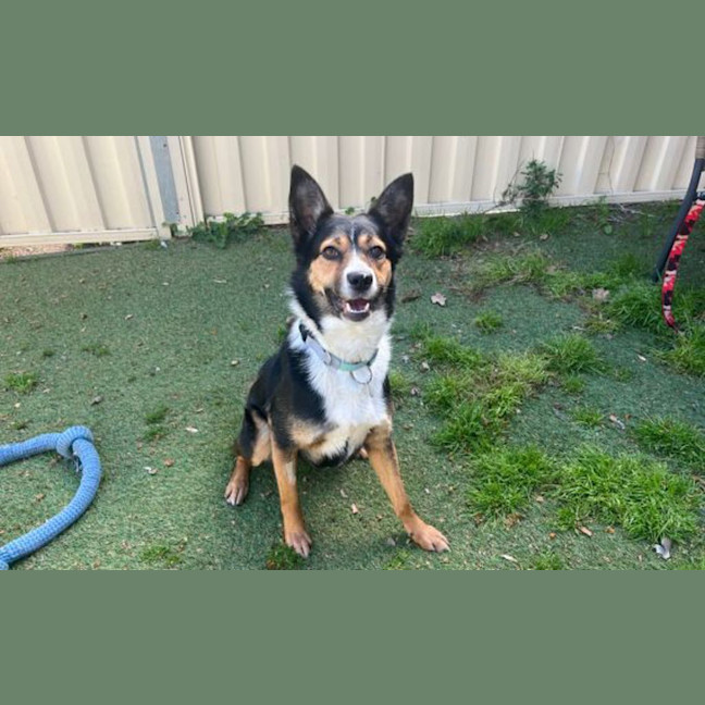 Photo of Lucy