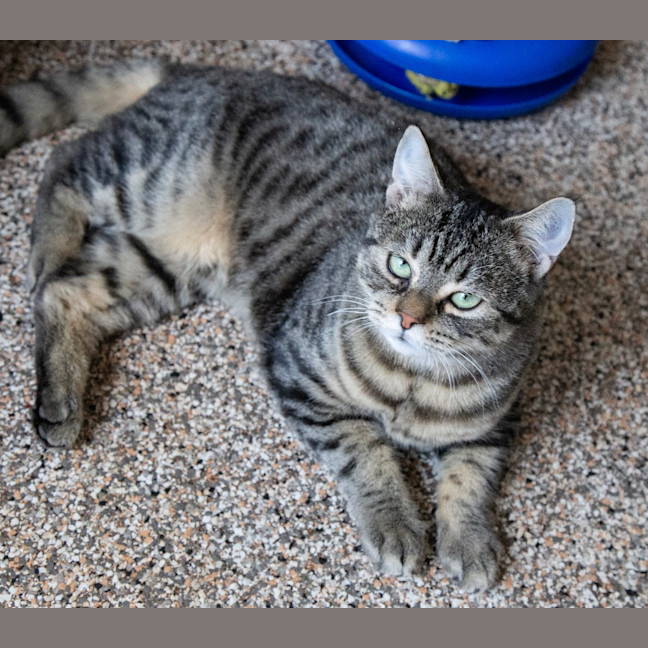 Photo of Mr Penelope
