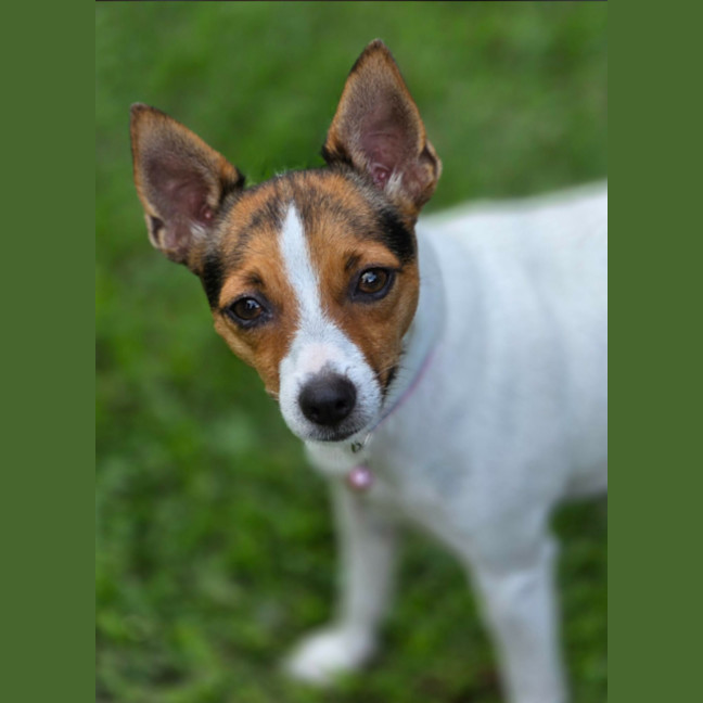 Photo of Tully And Rose