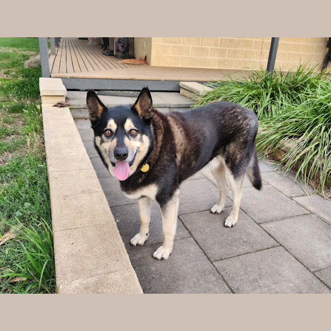 Photo of Ace Ventura