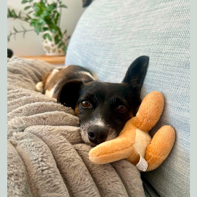 Photo of Millie