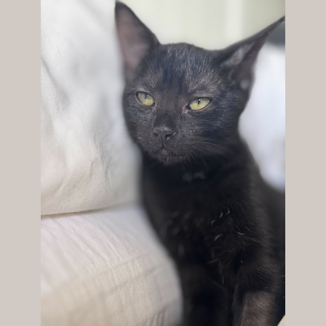 Photo of Bug