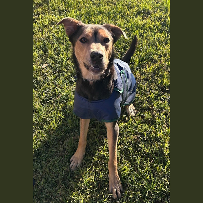 Photo of Charlie