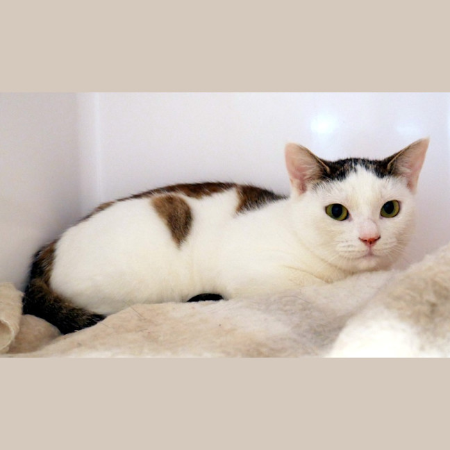 Photo of Aubrey Sta014483