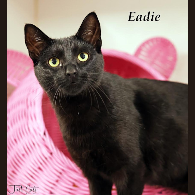 Photo of Eadie
