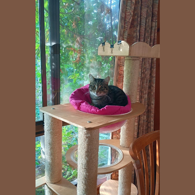 Photo of Lex 