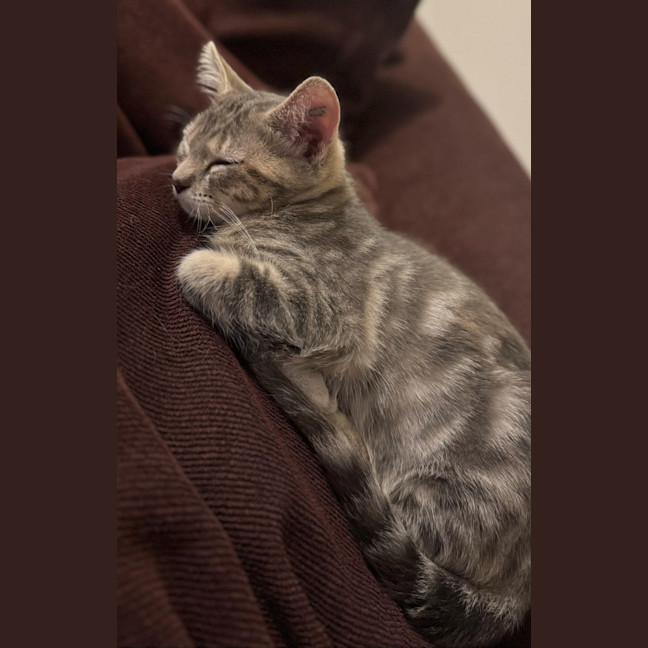 Photo of Perla/Winnie