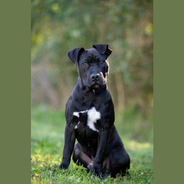 Photo of Monte 