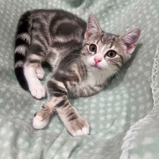 Photo of Charlotte   In Foster Care In Doreen