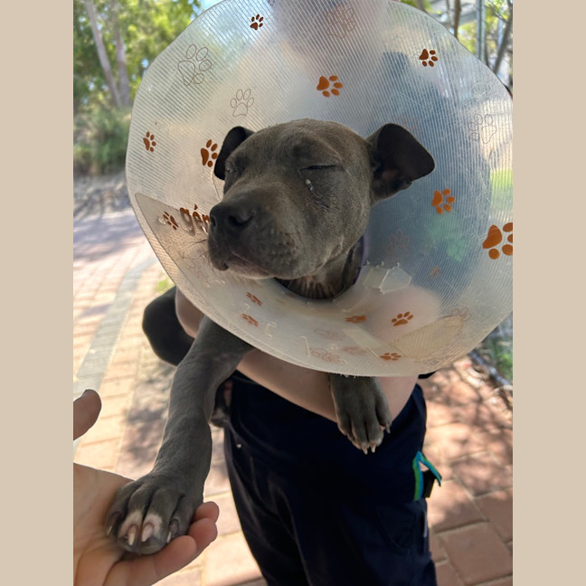 Photo of Zeus