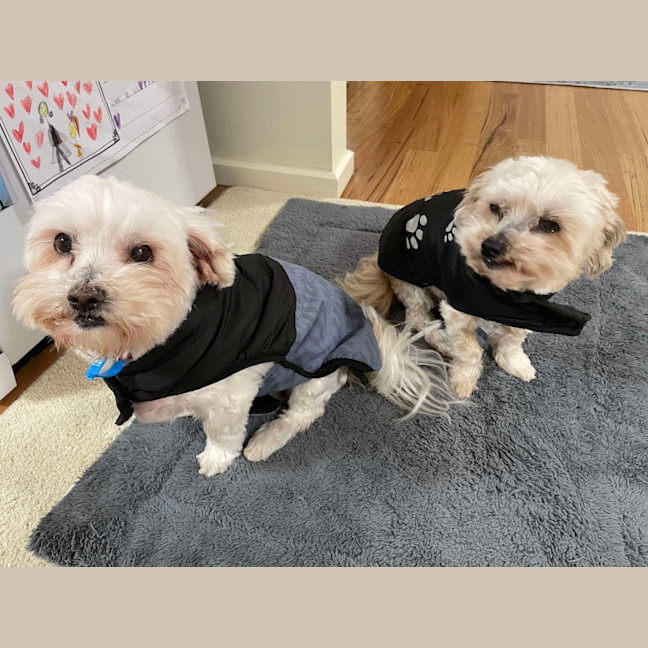 Photo of Bianca / Stella