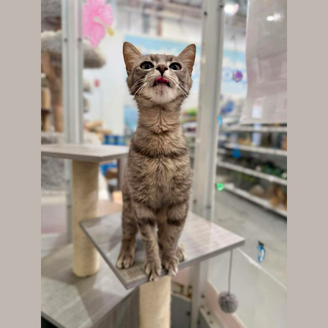 Photo of Mimi 