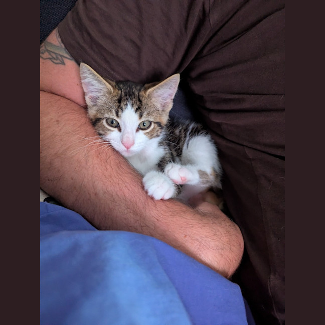 Photo of Ross Golden