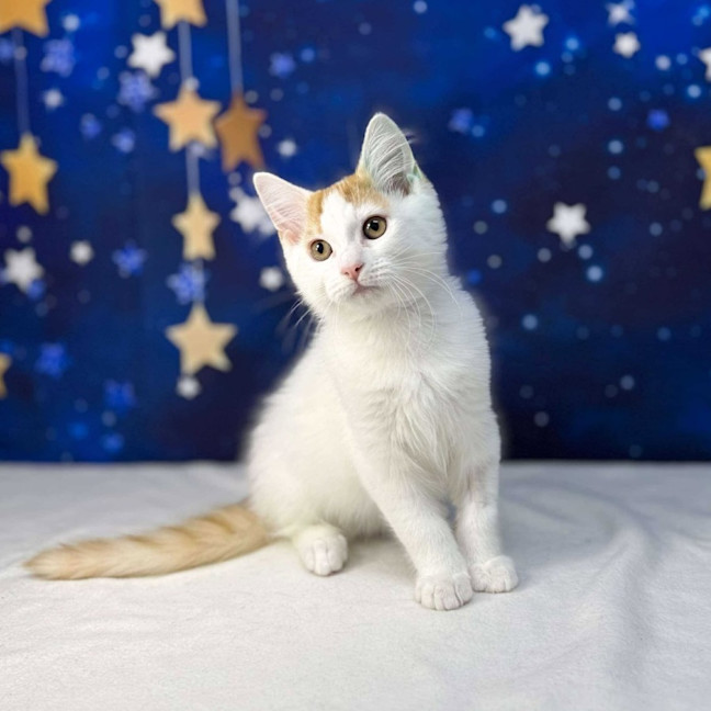 Photo of Rome   Located In Preston