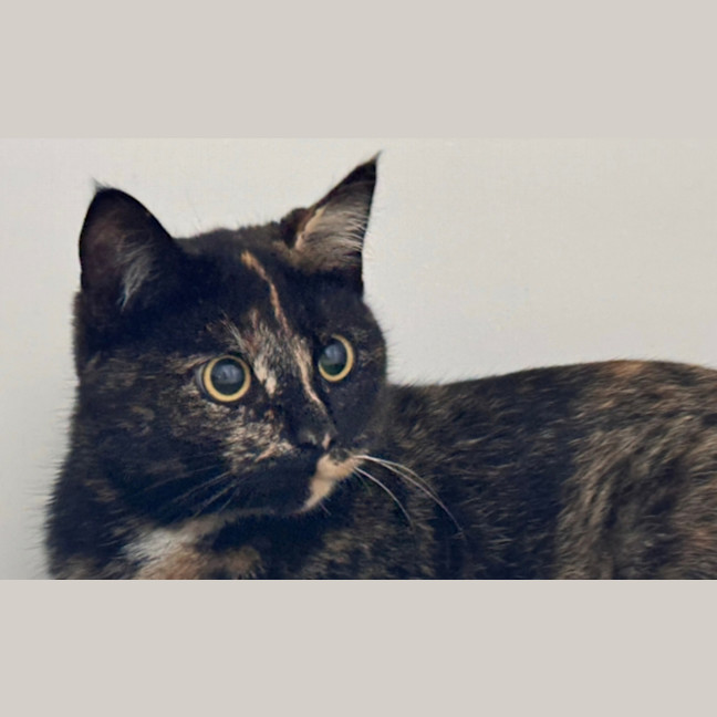 Photo of Heidi