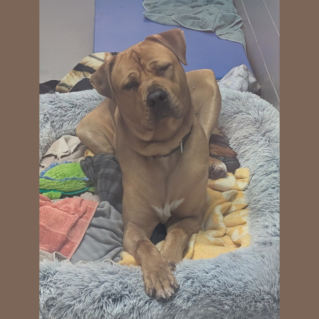 Photo of Blue