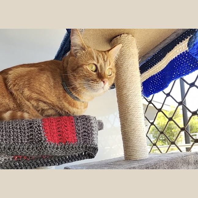 Photo of Honey