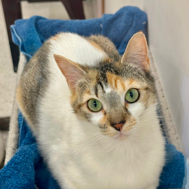 Photo of Sunny & Moon