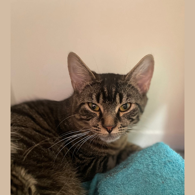 Photo of Colonel Mustard