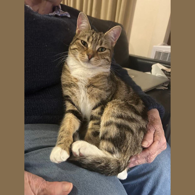 Photo of Enchantress   Bonded With Batman