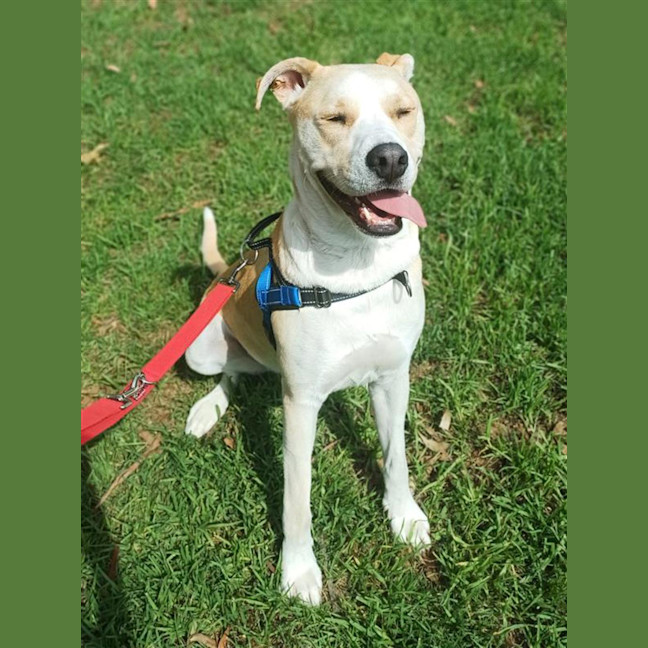 Photo of Albert (Now Albie)