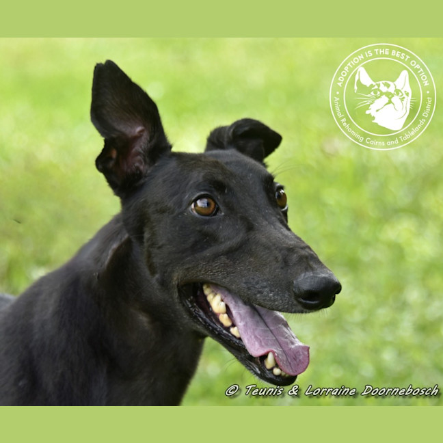 Photo of Billy (Canya Revamp)