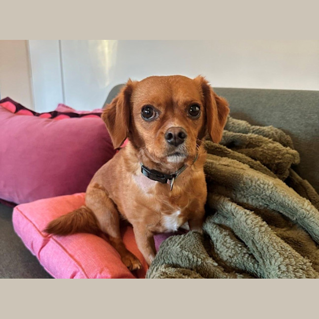 Photo of Toby Quinnell