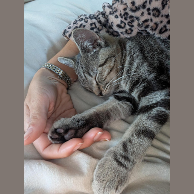 Photo of Skylar   Located In Pascoe Vale 