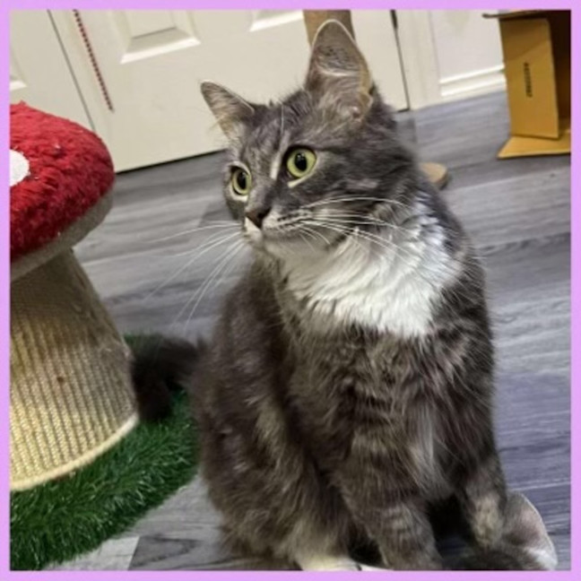 Photo of Ophelia