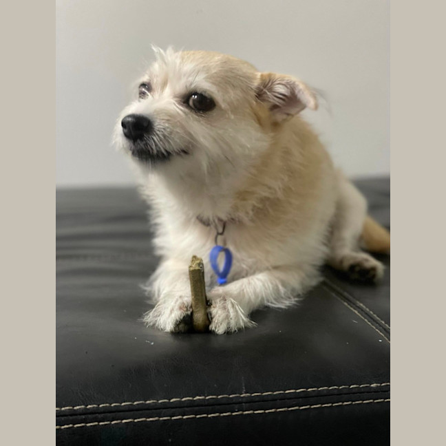 Photo of Tilly And Finn