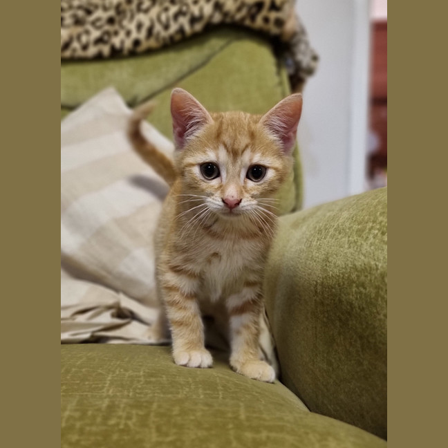 Photo of Berry