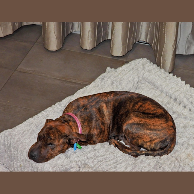 Photo of Coco Chanel