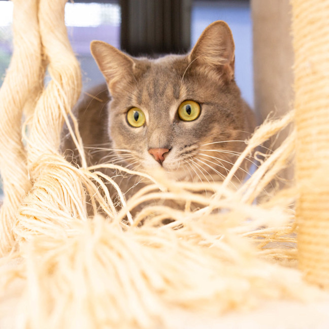 Photo of Max