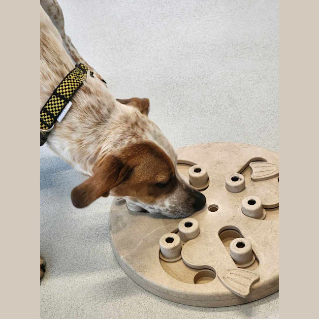 Photo of 🪐 Leonie 5464 🪐