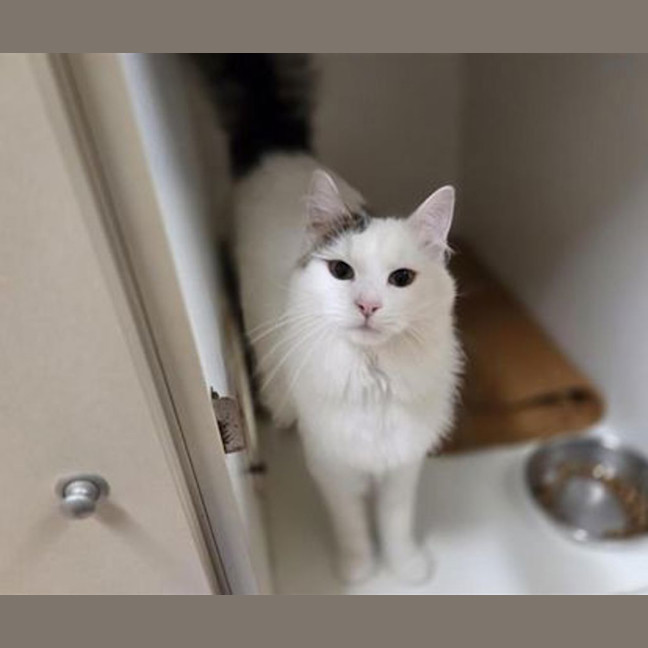 Photo of Tilly