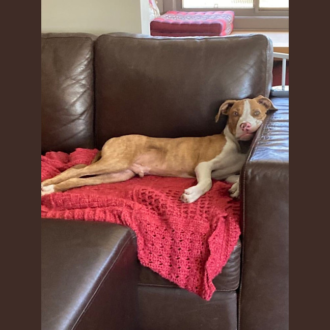 Photo of Brian Mannix