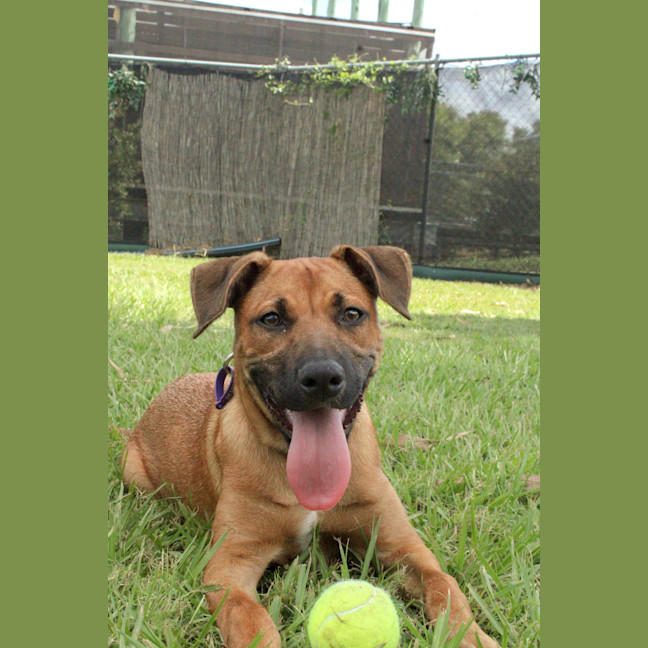 Photo of Lucy