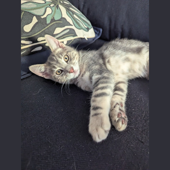 Photo of Hugo Scotty