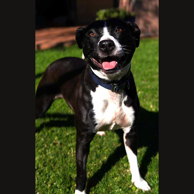 Photo of Lexi